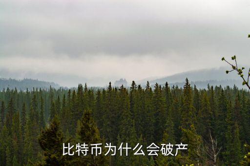 比特幣為什么破產(chǎn)，比特幣為什么會破產(chǎn)