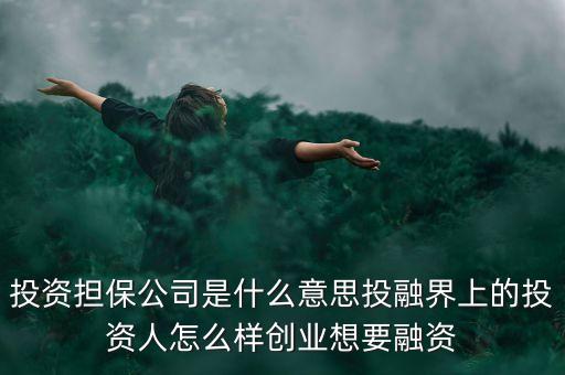 投資擔(dān)保公司是什么意思投融界上的投資人怎么樣創(chuàng)業(yè)想要融資