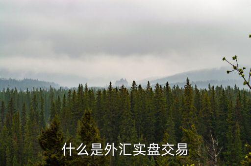 什么是外匯實盤交易