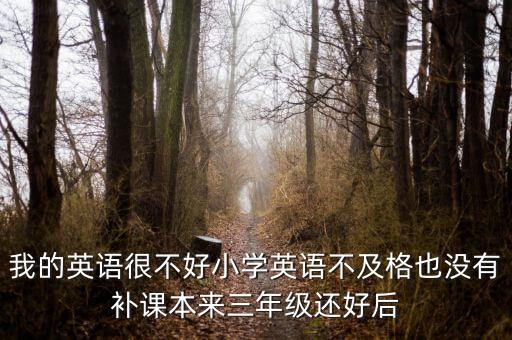 我的英語(yǔ)很不好小學(xué)英語(yǔ)不及格也沒有補(bǔ)課本來三年級(jí)還好后