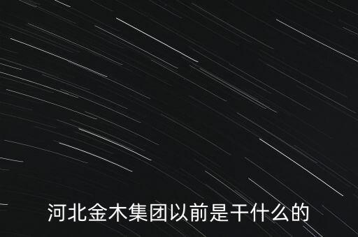 河北金木集團以前是干什么的