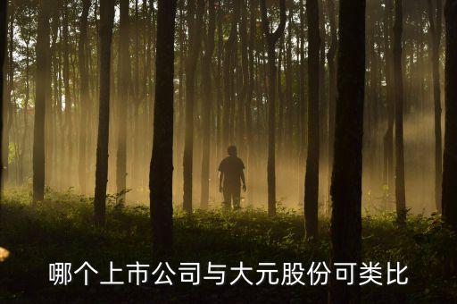 哪個上市公司與大元股份可類比