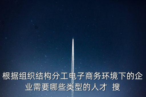 根據(jù)組織結(jié)構(gòu)分工電子商務(wù)環(huán)境下的企業(yè)需要哪些類型的人才  搜