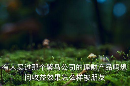紫馬財富什么時間，有人買過那個紫馬公司的理財產(chǎn)品嗎想問收益效果怎么樣被朋友