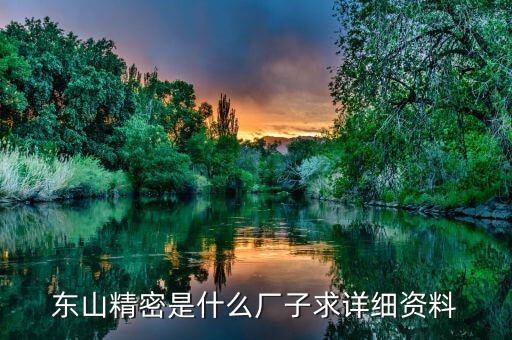 東莞東山精密廠有什么福利，東山精密怎么樣