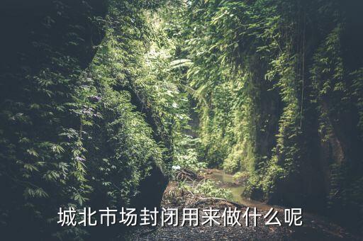 封閉市場可以干什么，城北市場封閉用來做什么呢