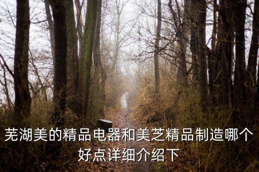 蕪湖美的精品電器和美芝精品制造哪個(gè)好點(diǎn)詳細(xì)介紹下