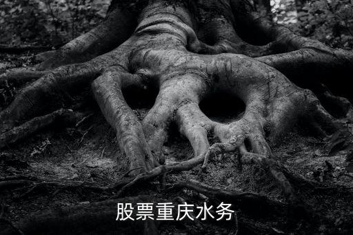 重慶水務(wù)是什么股票，朋友們請(qǐng)問重慶水務(wù)和國(guó)中水務(wù)這兩只股票那只基本面更好一點(diǎn)  搜