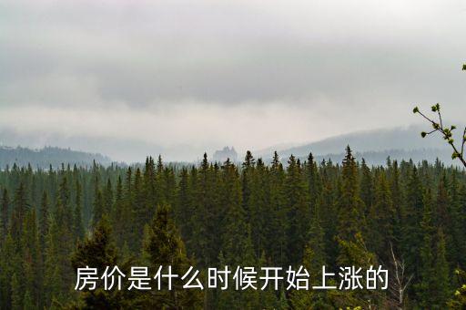 房?jī)r(jià)是什么時(shí)候開(kāi)始上漲的