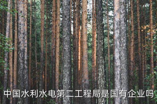 水二局是什么意思，你的紫微主星為破軍星該生辰是為 水二局的 陽男命人其中命主