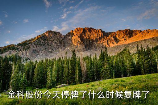 金科股份今天停牌了什么時候復牌了