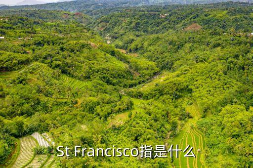 st戰(zhàn)略是什么，ST戰(zhàn)略是什么意思