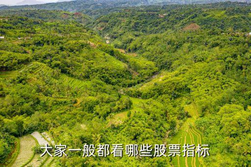 大家一般都看哪些股票指標(biāo)