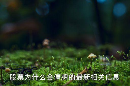 002437為什么停牌，股票為什么停牌