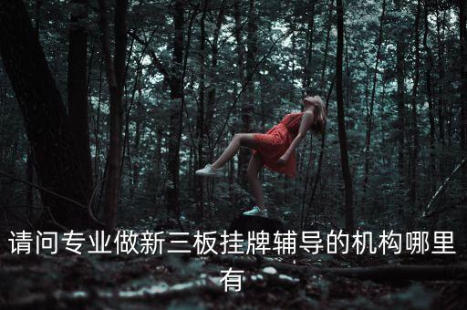 新三板輔助機構(gòu)是什么，請問專業(yè)做新三板掛牌輔導的機構(gòu)哪里有