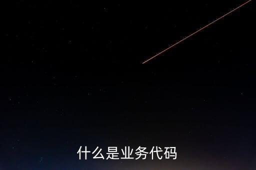 工商業(yè)務(wù)代碼是什么意思，businesscode是啥意思