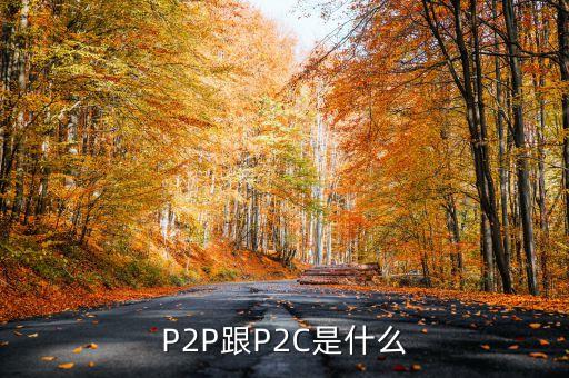 p2c平臺是什么，什么是P2P什么是P2C