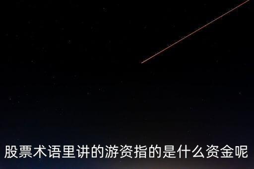 股票術語里講的游資指的是什么資金呢