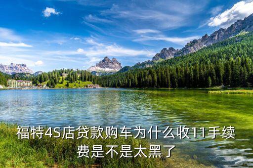 福特4S店貸款購(gòu)車(chē)為什么收11手續(xù)費(fèi)是不是太黑了