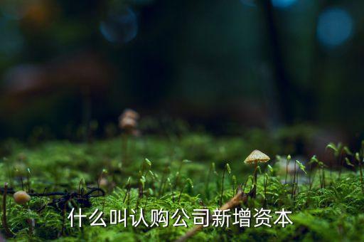 什么叫認(rèn)購公司新增資本