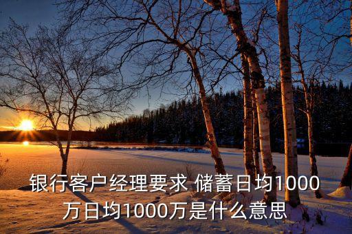 銀行客戶經(jīng)理要求 儲(chǔ)蓄日均1000萬(wàn)日均1000萬(wàn)是什么意思