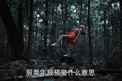 股票出年報什么意思，股票年報預警什么意思