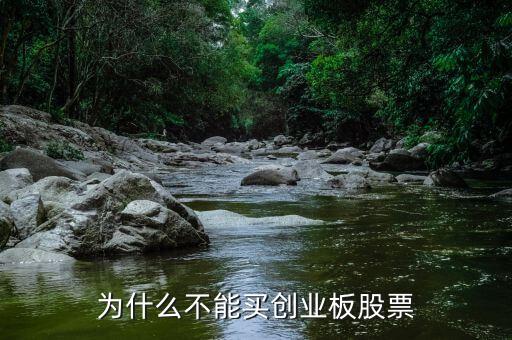 創(chuàng)業(yè)板股票為什么不能買(mǎi)，為什么不能買(mǎi)創(chuàng)業(yè)板股票