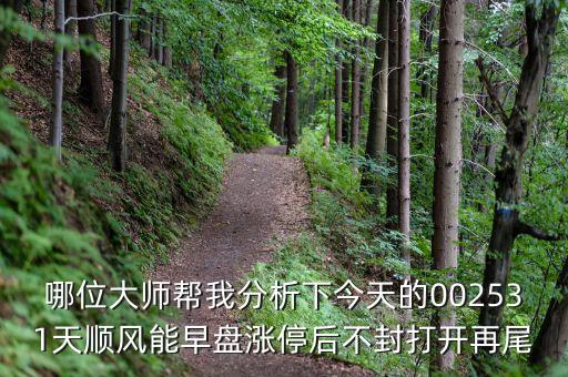 哪位大師幫我分析下今天的002531天順風(fēng)能早盤漲停后不封打開再尾