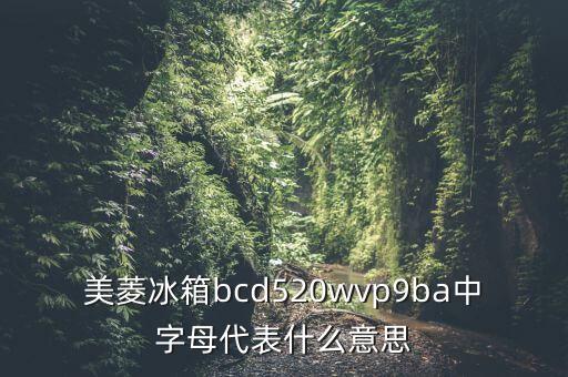 美菱冰箱bcd520wvp9ba中字母代表什么意思