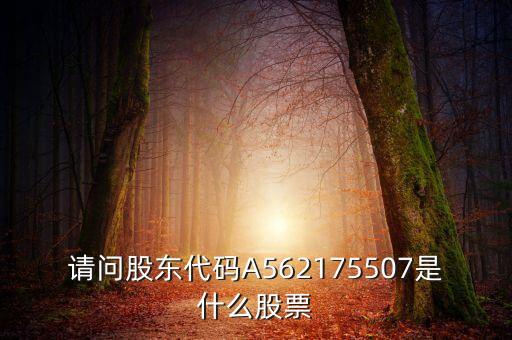 請(qǐng)問(wèn)股東代碼A562175507是什么股票