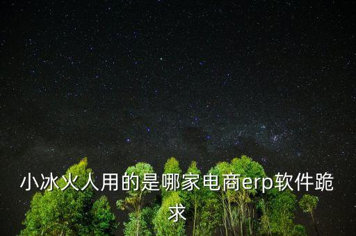 小冰火人用的是哪家電商erp軟件跪求