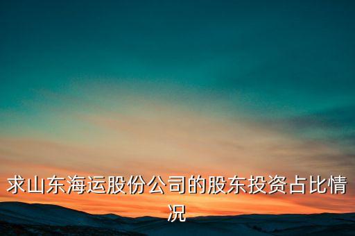 求山東海運(yùn)股份公司的股東投資占比情況