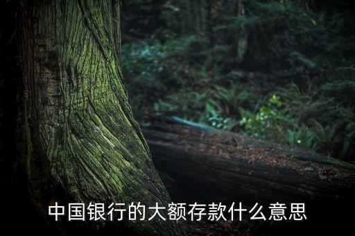 什么是大額存款，什么叫大額存單