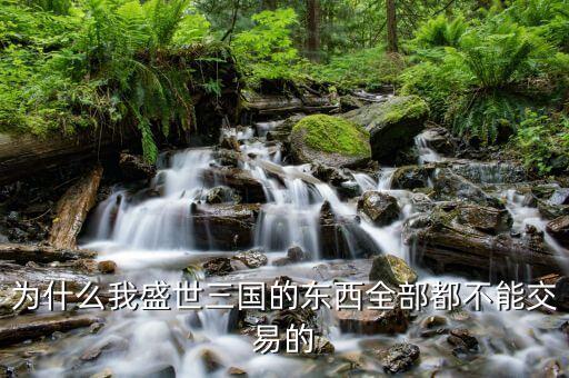 偉力盛世為什么不能買，為什么我盛世三國的東西全部都不能交易的