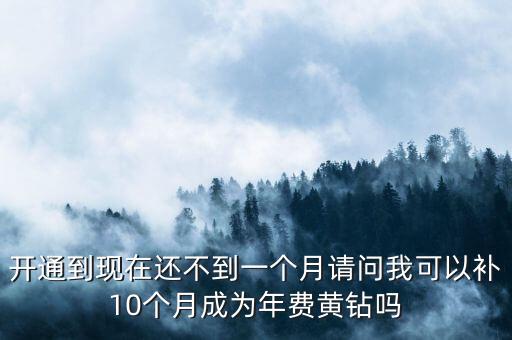 開通到現(xiàn)在還不到一個(gè)月請(qǐng)問我可以補(bǔ)10個(gè)月成為年費(fèi)黃鉆嗎