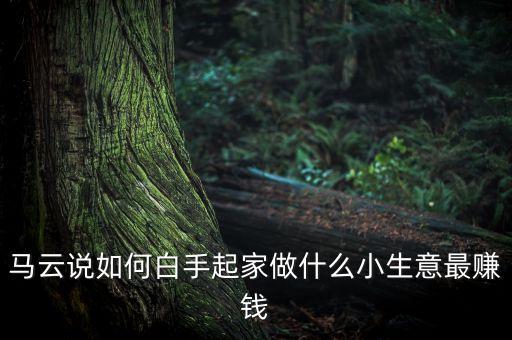 馬云說(shuō)2017什么最賺錢，馬云說(shuō)未來(lái)什么最賺錢
