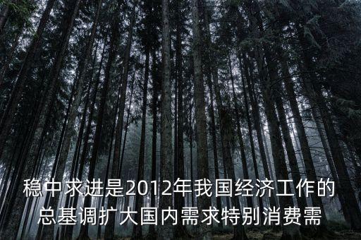 穩(wěn)中求進(jìn)是2012年我國(guó)經(jīng)濟(jì)工作的總基調(diào)擴(kuò)大國(guó)內(nèi)需求特別消費(fèi)需