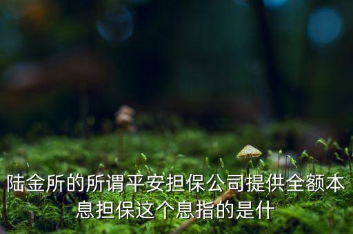 陸金所的所謂平安擔(dān)保公司提供全額本息擔(dān)保這個(gè)息指的是什