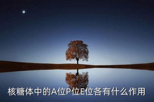 深天馬a有什么，哆啦a夢(mèng)大型游戲有那些