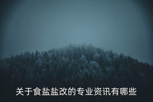 關(guān)于食鹽鹽改的專(zhuān)業(yè)資訊有哪些