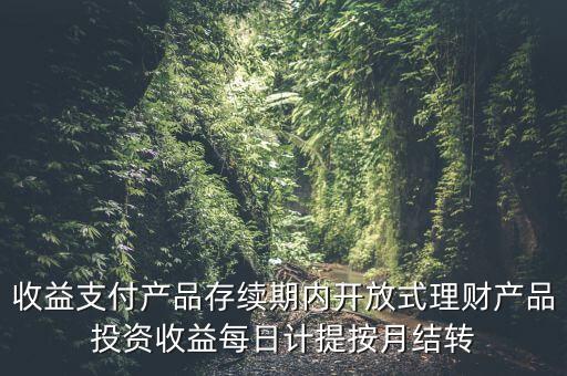 收益支付產(chǎn)品存續(xù)期內(nèi)開(kāi)放式理財(cái)產(chǎn)品投資收益每日計(jì)提按月結(jié)轉(zhuǎn)