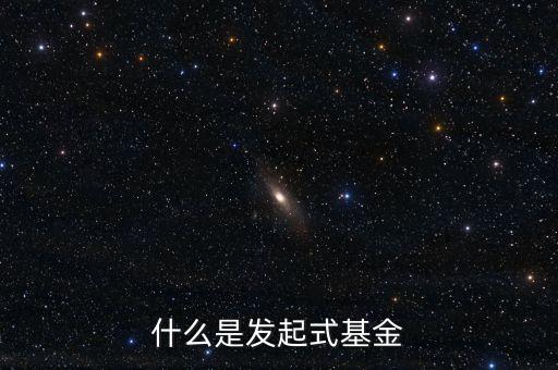 什么是發(fā)起式基金