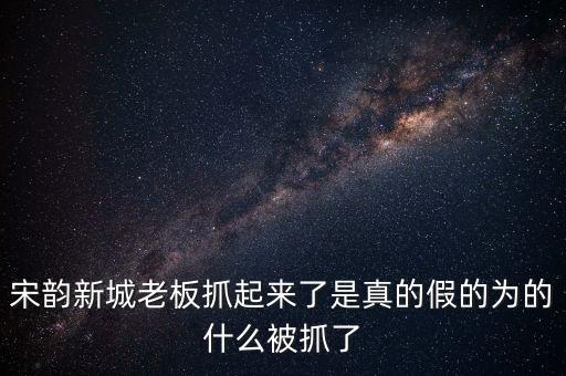 宋韻新城老板抓起來(lái)了是真的假的為的什么被抓了