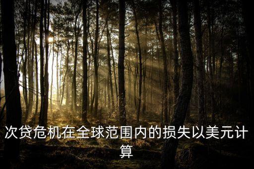 次貸危機(jī)在全球范圍內(nèi)的損失以美元計(jì)算