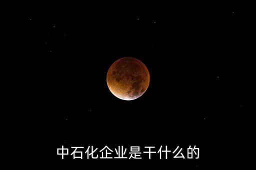 中石化企業(yè)是干什么的