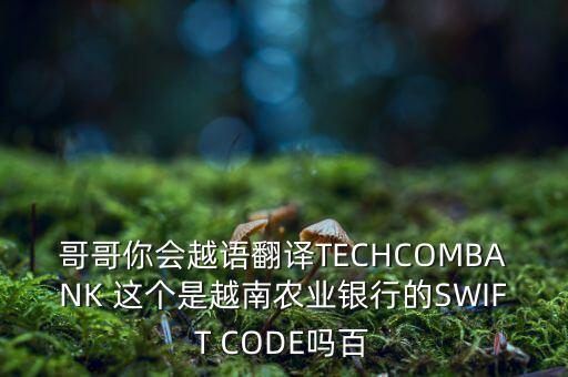 哥哥你會(huì)越語翻譯TECHCOMBANK 這個(gè)是越南農(nóng)業(yè)銀行的SWIFT CODE嗎百