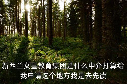 Argonaut公司是做什么的，英文淘金者怎么寫