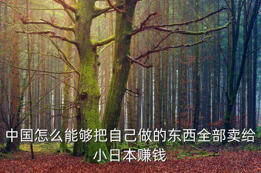中國(guó)怎么能夠把自己做的東西全部賣(mài)給小日本賺錢(qián)