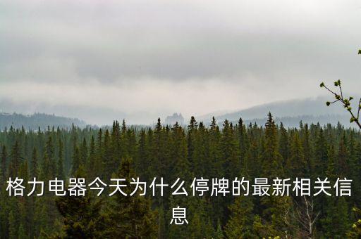 格力電器為什么停盤，格力電器今天為什么停牌的最新相關信息
