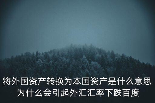 本國(guó)資產(chǎn)什么意思，如何定義本國(guó)的外國(guó)財(cái)產(chǎn)舉中國(guó)為例